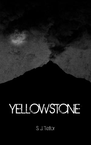 Cover of the book Yellowstone by Gemma Mawdsley
