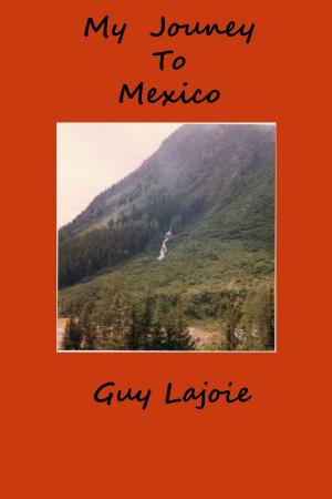 Cover of My Journey to Mexico