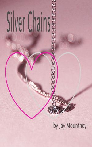 Cover of the book Silver Chains by P. R. Fancier