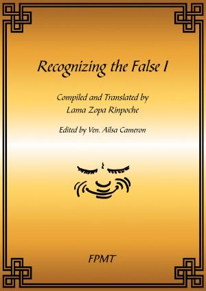 Cover of the book Recognizing the False I eBook by Soubhadra Bhikshou