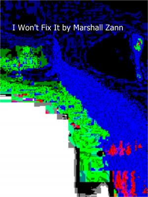 Book cover of I Won't Fix It