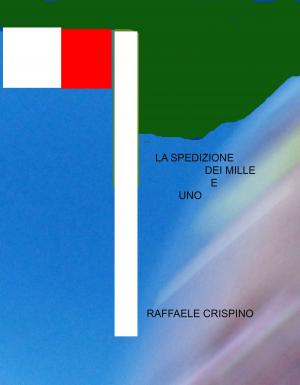 Cover of the book La Spedizione dei mille e uno by Chiara Naseddu