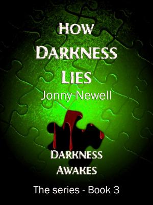 bigCover of the book How Darkness Lies: Book 3 : Darkness Awakes - the Series by 