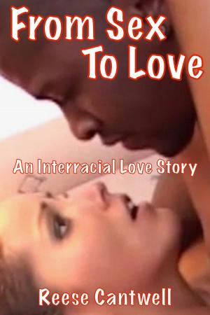 Cover of the book From Sex to Love: An Interracial Love Story by Reese Cantwell