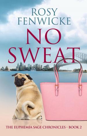 bigCover of the book No Sweat by 