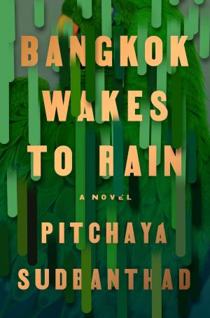 Cover of the book Bangkok Wakes to Rain by Jane Godwin Coury