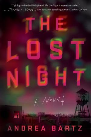 Cover of the book The Lost Night by Rebekah Weatherspoon