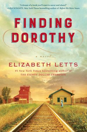 Cover of the book Finding Dorothy by David Hollander