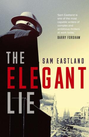 Cover of the book The Elegant Lie by Peter Gill