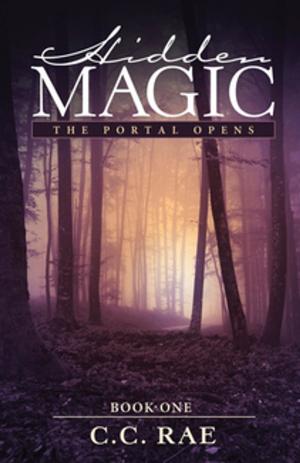 Cover of the book Hidden Magic by Rhonda James