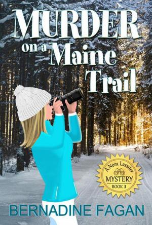 Cover of the book Murder on a Maine Trail by Stacy Verdick Case