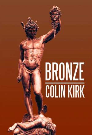 Cover of the book Bronze by ARFER APPLE