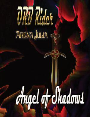Cover of the book Orb Rider: Angel of Shadows by Derek A. Schneider
