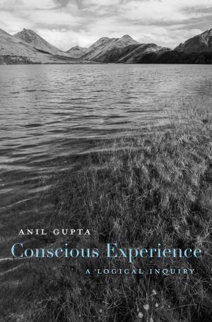 Cover of the book Conscious Experience by Pieter M. Judson