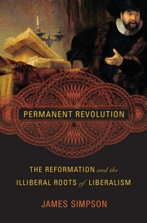 Book cover of Permanent Revolution