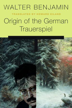 Cover of the book Origin of the German Trauerspiel by Hugo Mercier