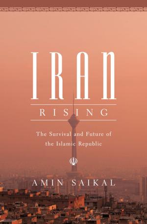 Cover of the book Iran Rising by Daniel Chirot Clark McCauley