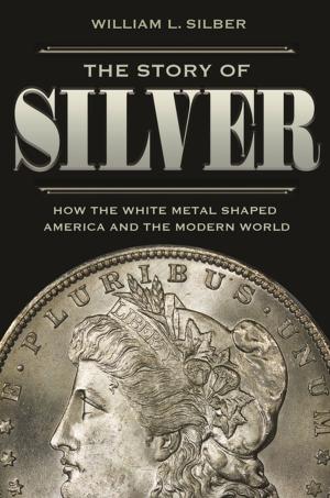 Cover of the book The Story of Silver by David R. Mayhew