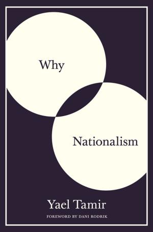 Cover of the book Why Nationalism by Avner Ash, Robert Gross