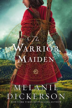 bigCover of the book The Warrior Maiden by 
