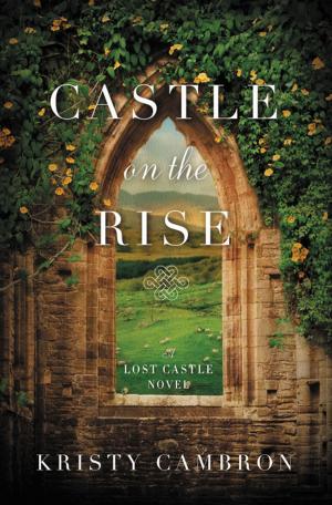 Cover of the book Castle on the Rise by Rich Wilkerson Jr.