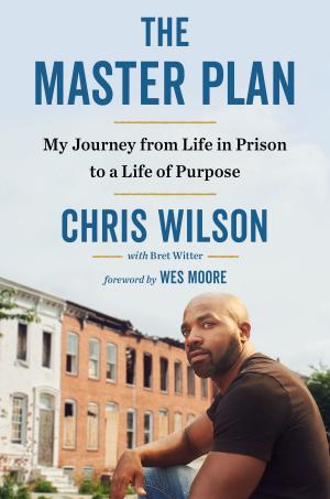 Cover of the book The Master Plan by Chance Johnmeyer