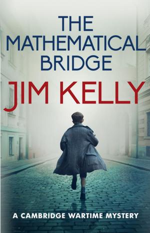 Cover of the book The Mathematical Bridge by Michael Bond