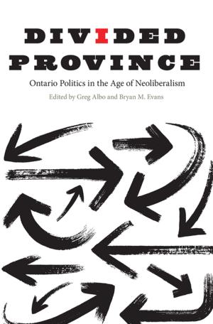 bigCover of the book Divided Province by 