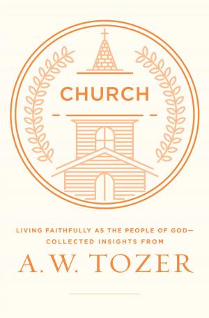 Cover of the book Church by Steve Farrar