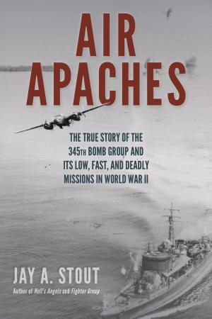 Book cover of Air Apaches