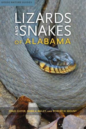Cover of the book Lizards and Snakes of Alabama by Greg Mulcahy