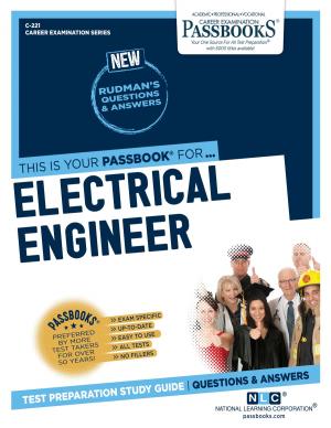 Cover of the book Electrical Engineer by Nadja Graßmeier