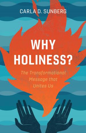 Cover of the book Why Holiness? by Ian Heath