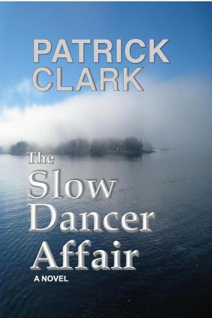 Cover of the book The Slow Dancer Affair by m.a. petterson