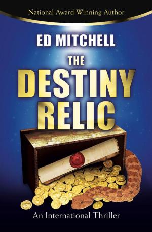 Book cover of The Destiny Relic