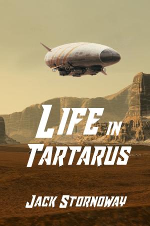 Cover of the book Life in Tartarus by Debbie Manber Kupfer