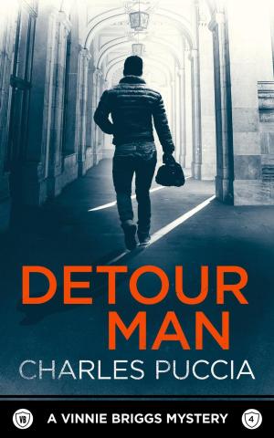 Cover of the book Detour Man by Shey Stahl