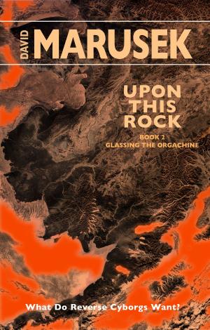 Book cover of Glassing the Orgachine