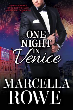 bigCover of the book One Night in Venice by 