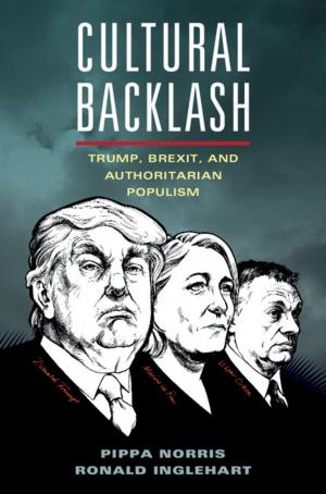 Cover of the book Cultural Backlash by Jennifer Diggins