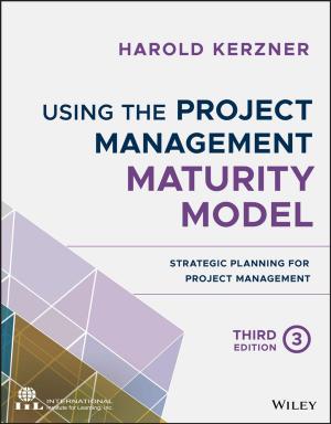 Book cover of Using the Project Management Maturity Model