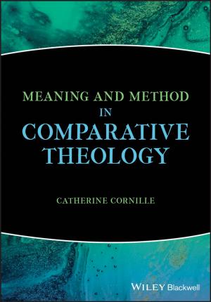 Book cover of Meaning and Method in Comparative Theology