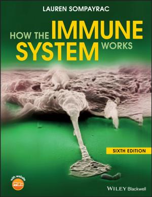 Cover of the book How the Immune System Works by Michelle Maxom