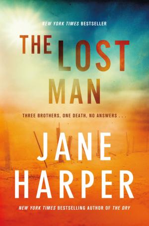 Book cover of The Lost Man