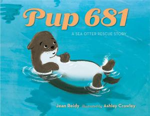 Cover of the book Pup 681 by David McPhail
