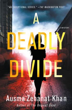 Cover of the book A Deadly Divide by Jeanne Kalogridis
