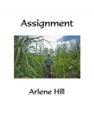Book cover of Assignment