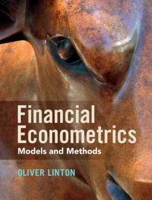 Cover of the book Financial Econometrics by Professor Audie Klotz