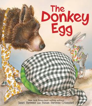 Cover of the book The Donkey Egg by Maggie Lewis