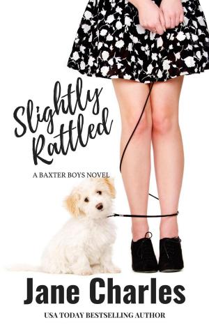 Cover of the book Slightly Rattled, A Second Epilogue by Ava Stone